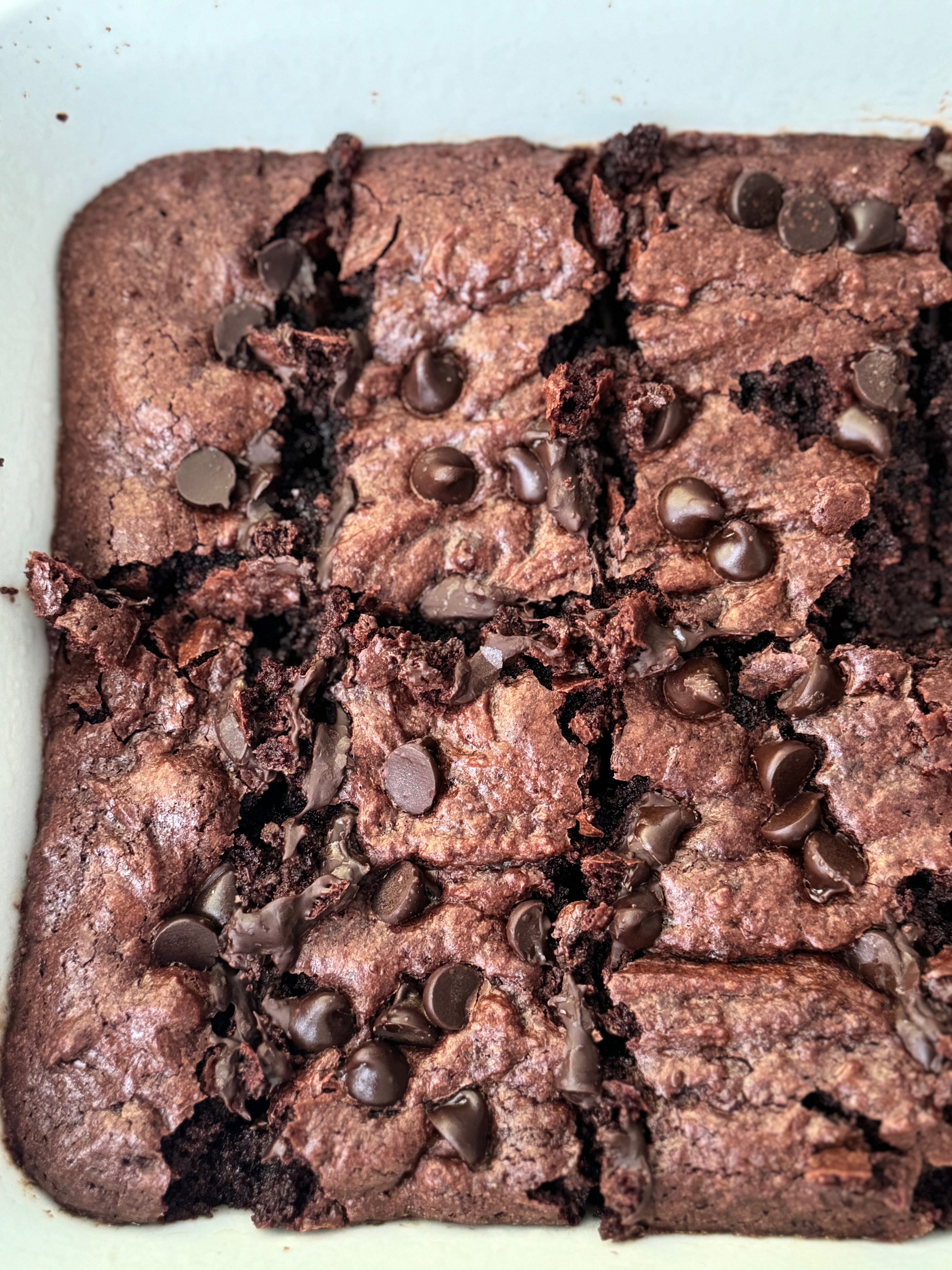 Chocolate Chip Brownies